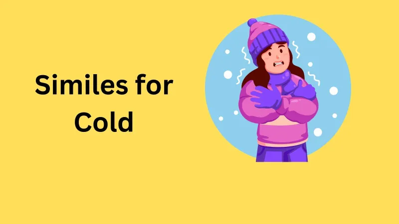 Read more about the article Similes for Cold