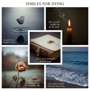 Read more about the article Similes for Dying: The Hidden Truth Writers Ignore